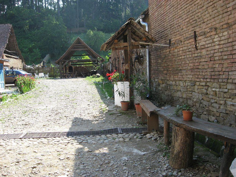 Pension Cartref Saschiz Экстерьер фото
