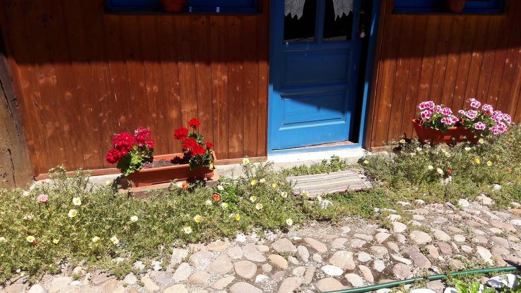 Pension Cartref Saschiz Экстерьер фото