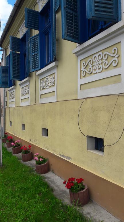 Pension Cartref Saschiz Экстерьер фото