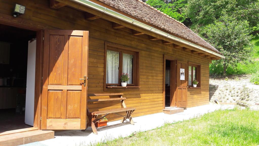 Pension Cartref Saschiz Экстерьер фото